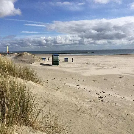Haus Bonnekessen Comfortable Holiday Feriehus *